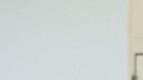 El presidente Trump y la primera dama Melania se mantuvieron lejos de Conan.