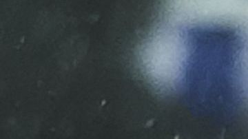 Sergio Ramos celebra el gol con el que abrió el marcador.