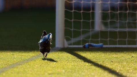 El futbolista  Ivan Gazdek fue expulsado del encuentro.