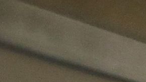 La Patrulla Fronteriza suele realizar operativos en trenes.