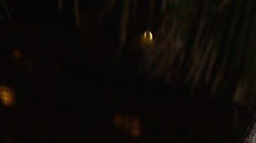 Bárbara Bermudo y Mario Andres Moreno.