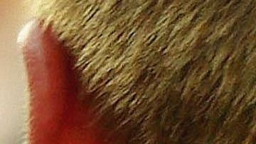 Brad Pitt y Jennifer Aniston.