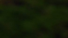 Gareth Bale no esperó a que terminara el encuentro contra el Galatasaray para irse del estadio.