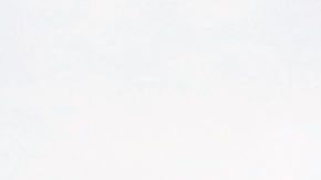 USCIS propone cobrar $50 dólares por el formulario de asilo.