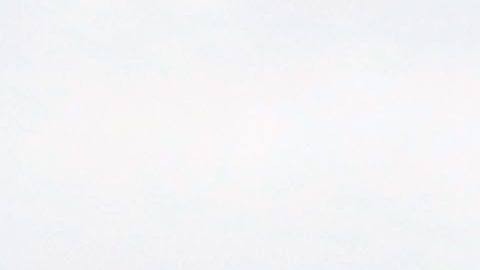 USCIS propone cobrar $50 dólares por el formulario de asilo.