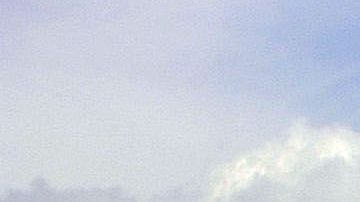 Existe un amplio movimiento de supremacistas blancos en EEUU