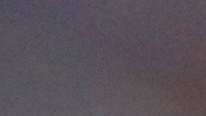 Charles Rogers padecía cáncer y una enfermedad que dañaba su hígado fue receptor estrella de Michigan State University.