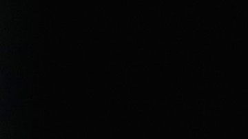 Nicklas Bendtner reveló los excesos de la selección danesa.