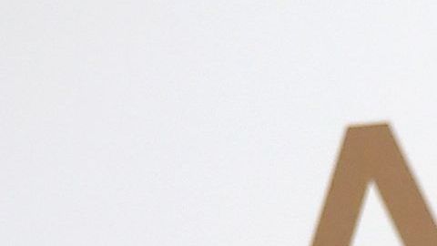 Chiquinquirá Delgado.