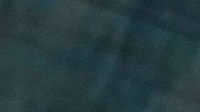 Ivanka Trump dijo que la oblicación de su padre "es resguardar las fronteras".