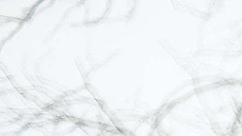 Mantener las protecciones de DACA es el primer paso que se debe tomar para defendernos de la política xenófoba de esta administración.