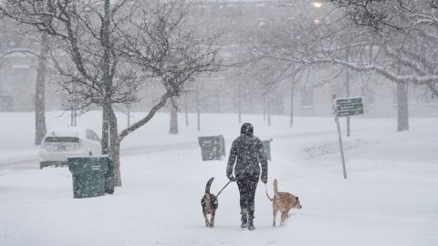 Nevada en Chicago en febrero pasado.