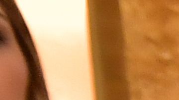 Holyfield se retiró del profesionalismo en 2011.