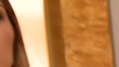 Holyfield se retiró del profesionalismo en 2011.