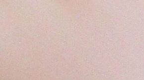 Trump prometió en campaña acabar con el programa.