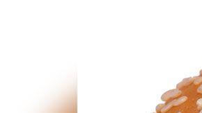 Un hombre decidió llevar el curioso experimento y ver si era cierto que las hamburguesas no se echaban a perder.