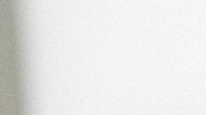 De concretarse el negocio, Camoranesi regresaría a una liga que conoce.