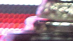 El argentino fue el técnico más exitoso durante la gestión del empresario.