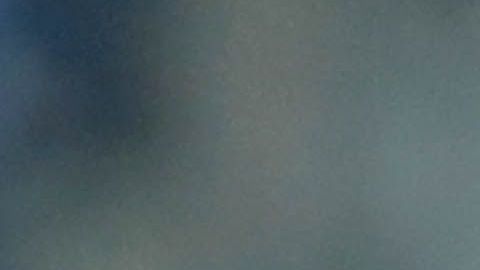 Salcido y Almeyda brillaron con Chivas