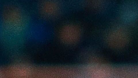 El canino hizo su aparición en el juego entre Charros y Cañeros de la Liga Mexicana del Pacífico.