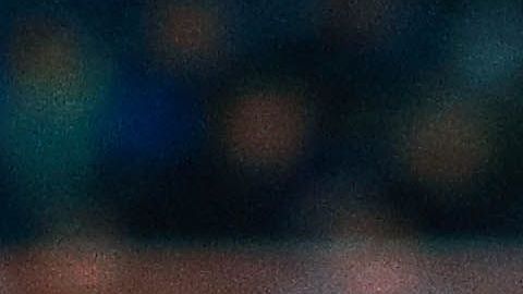 El canino hizo su aparición en el juego entre Charros y Cañeros de la Liga Mexicana del Pacífico.