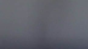 Zlatan Ibrahimovic podría terminar en el Bologna.