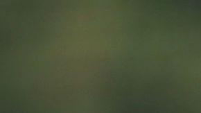 David Rodríguez estará a prueba con el Bayern Munich.