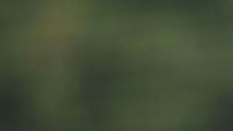 David Rodríguez estará a prueba con el Bayern Munich.