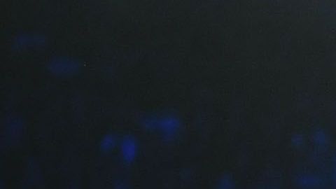 Se dio a conocer un video con las indicaciones que los Reynoso le dieron a 'Canelo' para vencer a Golovkin en el 2018.