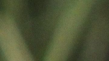 Higuera dejó de pertenecer a Chivas en junio pasado.