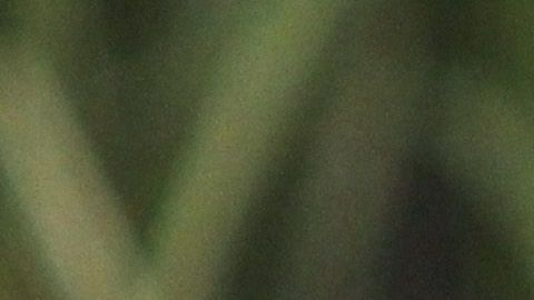 Higuera dejó de pertenecer a Chivas en junio pasado.