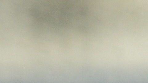 Raúl Gudiño podría salir de Chivas.
