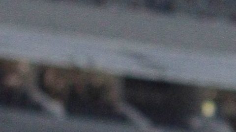 Cruz Azul venció a León 1-0 con lo que se niega a morir y mantiene el sueño de una Liguilla.