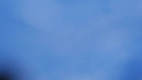 El arquero dio la cara por el técnico tras los rumores que apuntan a su salida del equipo.