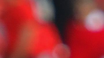 Luis Fernando Tena buscará vencer a Veracruz para tener posibilidades de acceder a la Liguilla y quedarse como DT de Chivas.