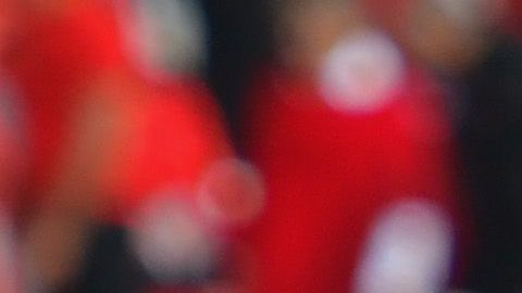 Luis Fernando Tena buscará vencer a Veracruz para tener posibilidades de acceder a la Liguilla y quedarse como DT de Chivas.