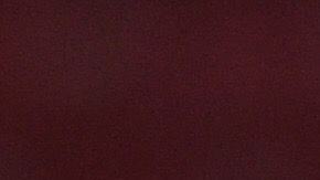 Chivas tuvo una convivencia especial previa a la última jornada del Apertura 2019.