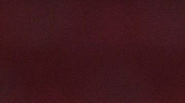 Chivas tuvo una convivencia especial previa a la última jornada del Apertura 2019.