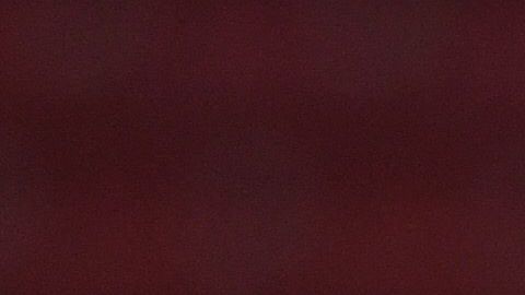 Chivas tuvo una convivencia especial previa a la última jornada del Apertura 2019.