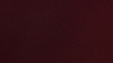 El delantero de las Chivas llegó a 10 goles en el Apertura 2019.