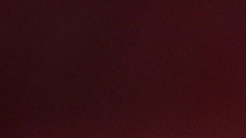 El delantero de las Chivas llegó a 10 goles en el Apertura 2019.