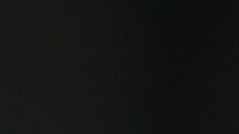 Pumas tendrá que esperar el resultado de Monterrey, Tijuana y Monarcas si quiere aspirar a la fiesta grande.