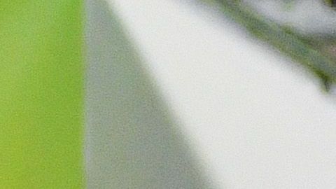 La Selección Mexicana ha estado en 5 semifinales del torneo.