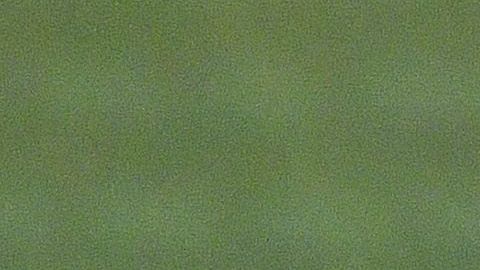 La primera parte ha sido muy pareja entre ambas escuadras.