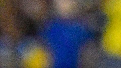 Alejandro Gómez recibió un empujón que era un penal claro para México, según expertos del arbitraje.