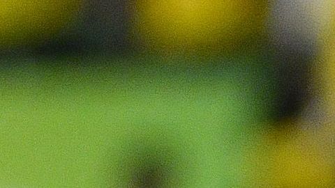 La canarinha vino de atrás para ganar su cuarto campeonato del mundo en la categoría.