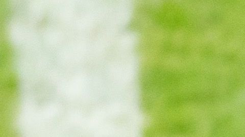 Fueron homenajeados los integrantes de la selección Sub 17 que lograron el subcampeonato en el Mundial en Brasil.