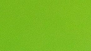 El inesperado invitado apareció casi al minuto 54, cuando de forma inesperada se vio al minino corriendo sobre el césped.