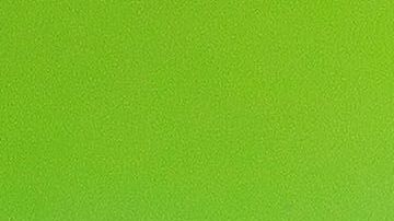 El inesperado invitado apareció casi al minuto 54, cuando de forma inesperada se vio al minino corriendo sobre el césped.