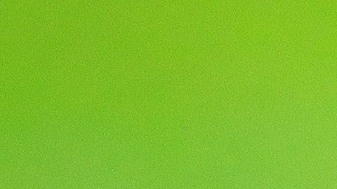 El inesperado invitado apareció casi al minuto 54, cuando de forma inesperada se vio al minino corriendo sobre el césped.